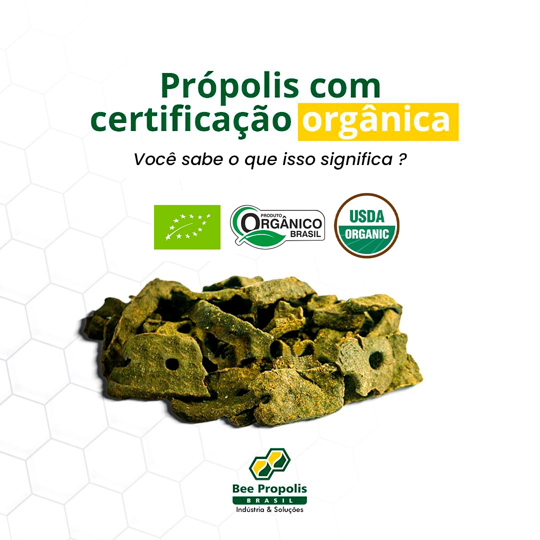 Award at the International Beekeeping Congress